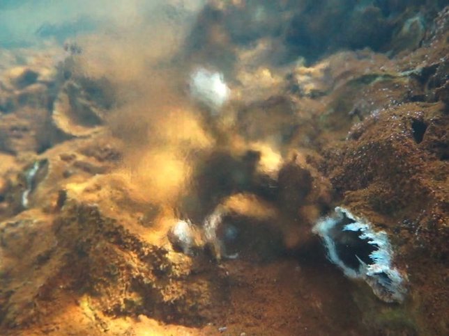 Fuente hidrotermal, hábitat de las formas más antiguas de vida