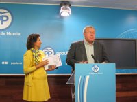 Bernabé (PP): "El olfato político de Tovar es antológico; ni le apoyan los murcianos, ni acierta  nunca con su voto"