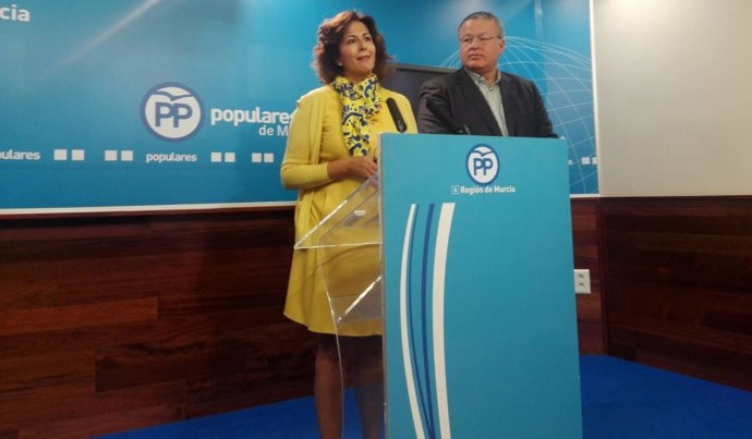 La diputada del PP, Pilar Borrego, durante la rueda de prensa