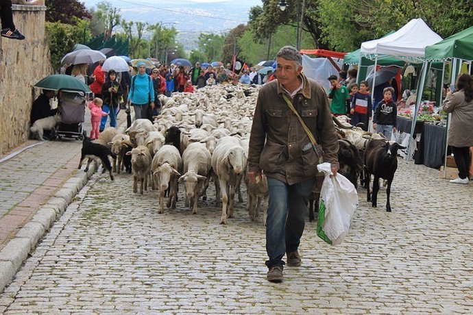 Trashumancia