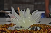 La final del Concurso de Cristalización en la Escuela de Andalucía 2017 reúne en Granada los trabajos de 20 equipos