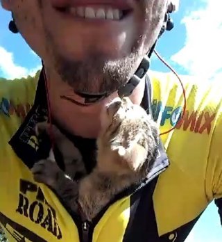 El dulce agradecimiento de una gatita al ser rescatada por un ciclista