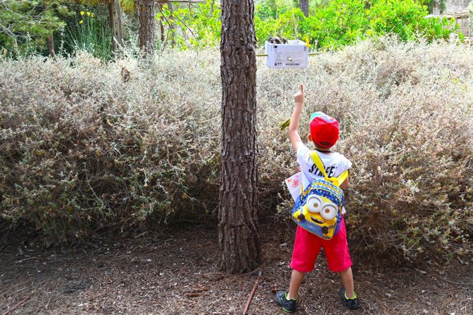 Un niño ante una 'casa de insectos' en una de las zonas de libre crecimiento