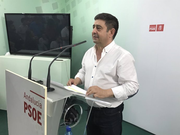 Francisco Reyes analiza las primarias del PSOE (Archivo)