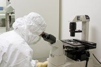 La Junta publica en BOJA la convocatoria para I+D+i biomédica por un importe de 5,3 millones de euros