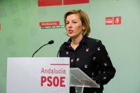 PSOE ve "mala noticia" que el Gobierno "se empeñe en licitar un AVE de segunda" para Almería