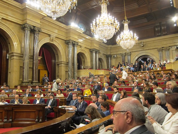   Pleno Del Parlament                             