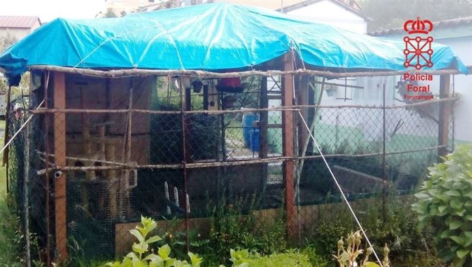 Aviario en el que se encontraban las especies.