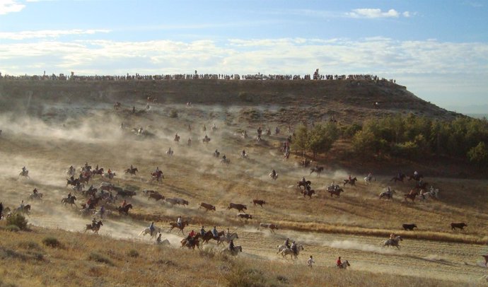 Imagen del cuarto encierro en Cuéllar (Segovia)