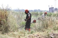 Sanz cree que es posible que este jueves se tenga visto todo el perímetro donde buscan a Marta del Castillo