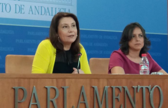 La portavoz parlamentaria del PP-A, Carmen Crespo, en rueda de prensa