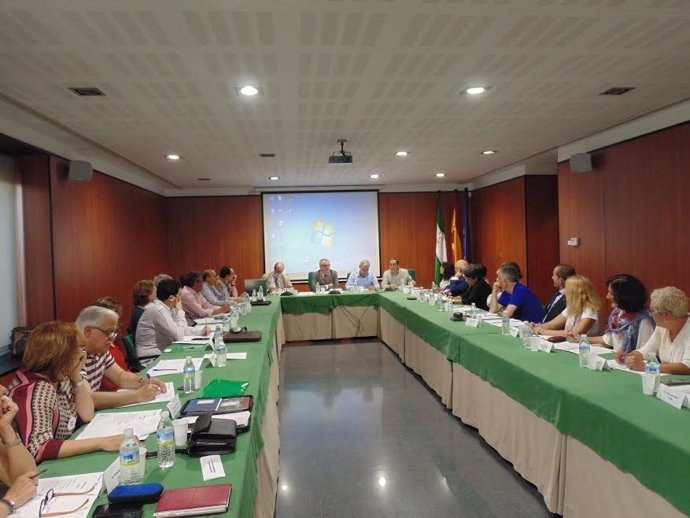 Reunión del Consejo de Salud de Área.