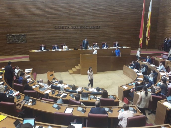 Votación del director de la Agencia Valenciana Antifraude