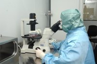 El Hospital Reina Sofía de Córdoba acogerá una jornada centrada en terapia celular en enfermedades neurológicas