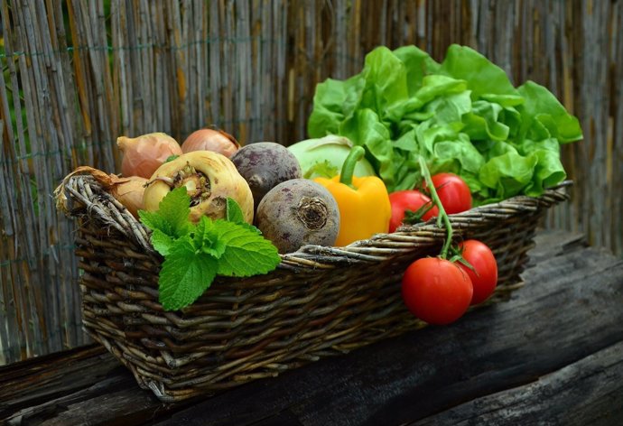 Expertos recomiendan alimentación saludable metabólicos equilibrada, accesible