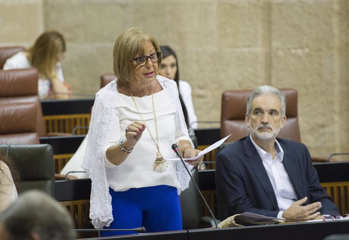 La consejera andaluza de Educación, Adelaida de la Calle, en el Parlamento