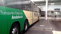 Junta licita servicios para renovar las líneas de buses de la capital, Roquetas y El Ejido
