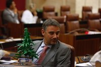 El Parlamento rechaza pedir regular el cannabis en usos de ocio pero sí medicinales o de investigación