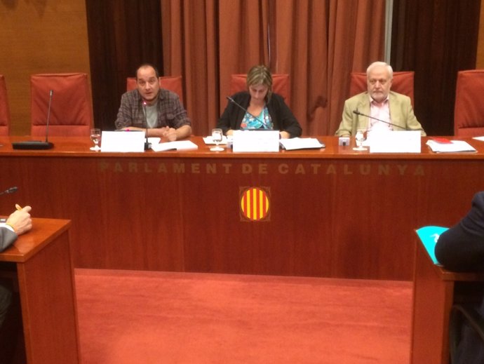 David Fernàndez (CUP) en la comisión de investigación de la operación Catalunya