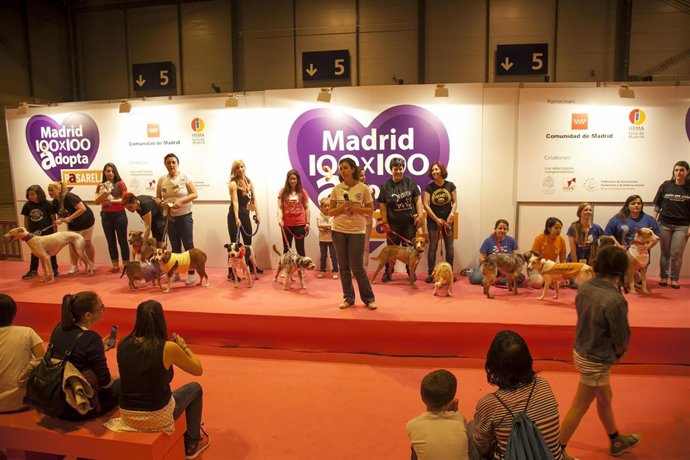 Cien por Cien Mascotas