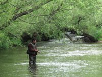 Cantabria suspende la pesca fluvial hasta el 31 de octubre por la sequía