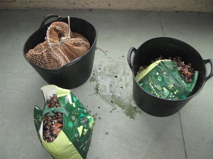 Interceptados 42 kilos de percebe de extracción ilegal en Arteixo