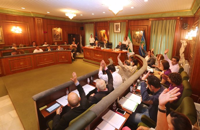 Pleno del Ayuntamiento de Marbella. Mayo 