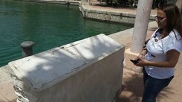 Maria José Espuch davant el monument al 'Stanbrook' amb la placa arrancada