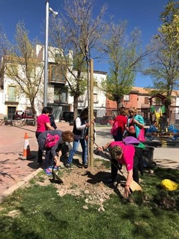 Plantación de árboles