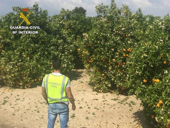 Hasta el momento se ha detenido a un hombre de 45 años