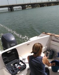 Investigadores de la Universidad de Huelva demuestran que el vertido de Mina La Zarza "no llegó al mar"