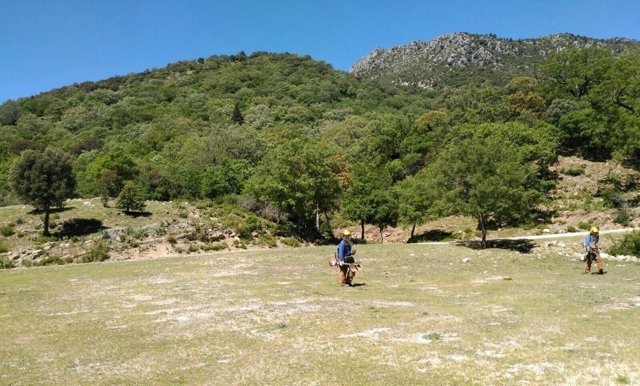 Trabajos preventivos contra incendios