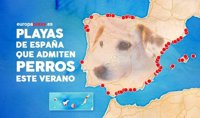 Playas que admiten perros este verano en España y Portugal