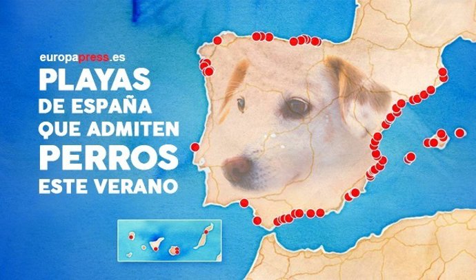 Playas para perros verano 2017