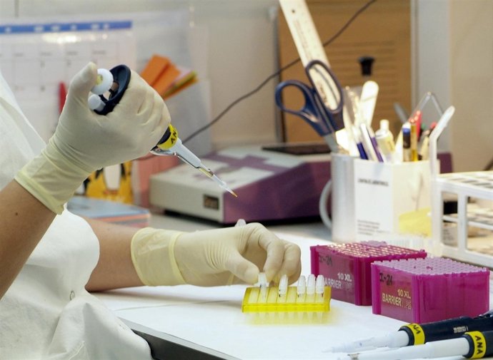 Investigación en I+D+i