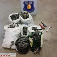 Dos detenidos por vender en Barcelona aspersores robados de fincas de Lleida