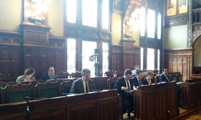 Comisión de Presidencia y Participación Ciudadana de la Junta General 