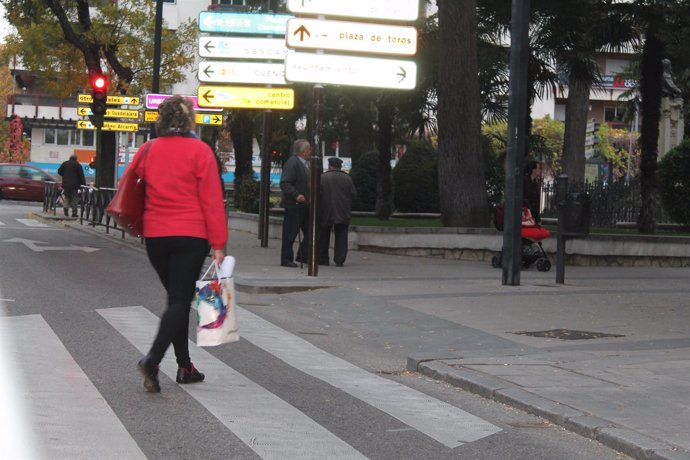 PEATÓN, CALLE, GUADALAJARA, COMPRAS