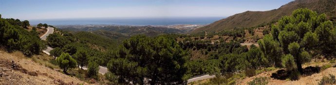 Vista de un tramo de una carretera de Málaga 