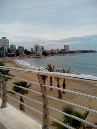 La Costa Blanca promociona Alicante como destino de turismo idiomático en Estados Unidos junto a UA y UMH