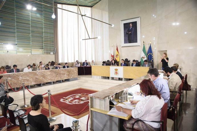 Pleno del Ayuntamiento de Almería