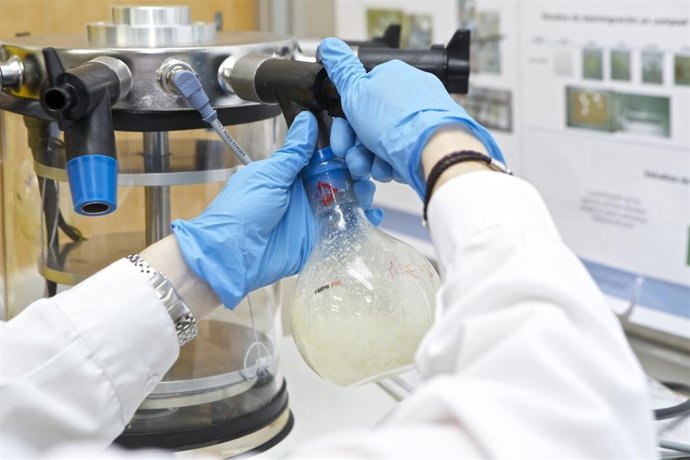 Proyecto europeo Funguschain 