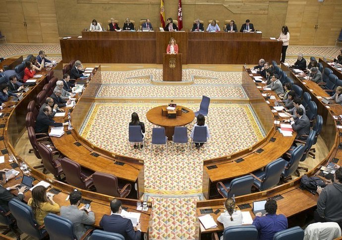 Pleno Asamblea de Madrid 2017