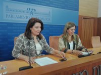 PP-A: Susana Díaz buscará una "maniobra de distracción" para hacer olvidar "su dejadez y parálisis"