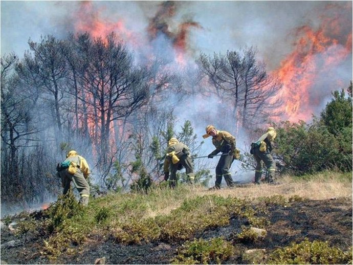 Bomberos De La ANE Durante La Extinción De Un Incendio.
