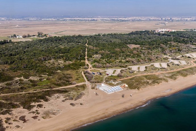 La Universitat dedica una exposición a la preservación de ‘El Saler’