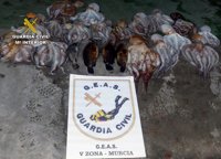 Guardia Civil se incauta de 25 kilos de pulpo capturado ilegalmente en aguas de Cartagena