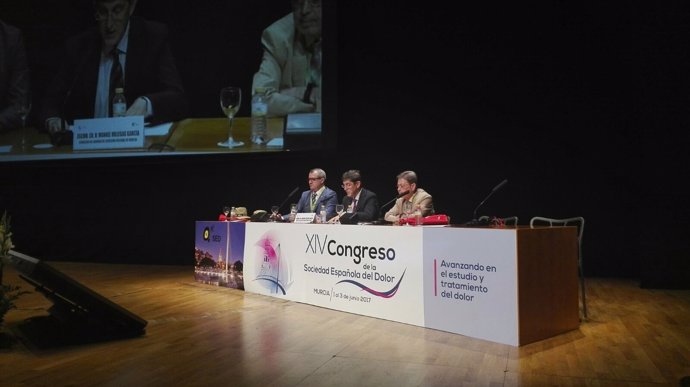 Villegas inaugura el XIV Congreso Nacional de la Sociedad Española del Dolor