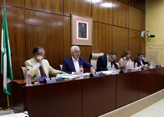Jiménez Barrios durante la comisión de Presidencia y Administración Local
