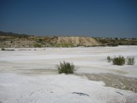Logran regenerar suelos contaminados y recuperar su vegetación con lodos de mármol